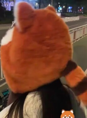小浣熊护耳雷锋帽卡通新款防风