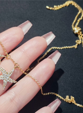 欧若风海星项链女轻奢饰品