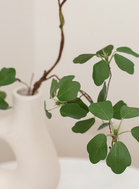 仿真绿植观音莲客厅装饰仿真花