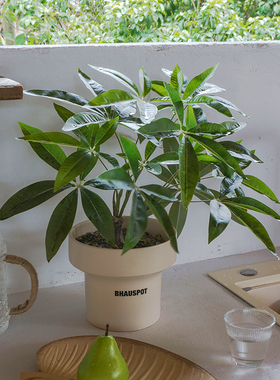 仿真绿植大叶伞家居摆件摆件