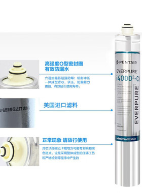 爱惠浦（Everpure）I40002-CN净水器厨房餐饮用水直饮0耗电0废水