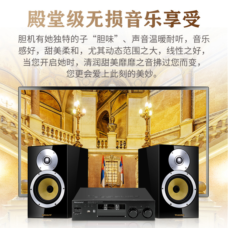 Nobsound/诺普声 C30 胆机组合音响套装发烧级家用hifi功放cd机 - 图3