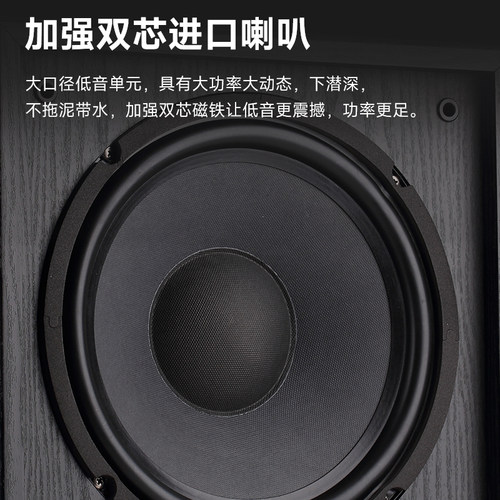 Nobsound/诺普声 SW-100 超重有源10寸低音炮音箱 有源低音炮音响 - 图3