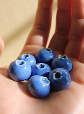 跨境热销BlueberryCamic