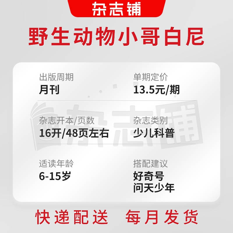 【送好礼】小哥白尼杂志野生动物画报 2026年1月起订杂志铺 1年共12期 6-15岁中小学生课外阅读 动物故事漫画图书 儿童科普期刊 - 图1