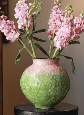 水培插花绿色渐变色家居客厅民宿装饰桌面精致小巧摆件侘寂风花瓶