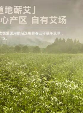 蕲州古艾冷敷眼贴30对儿童款