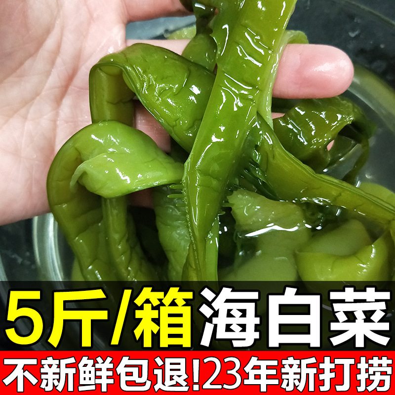 海白菜新鲜盐渍裙带菜梗段5斤商用半干货非即食海藻海带海芹菜-图0