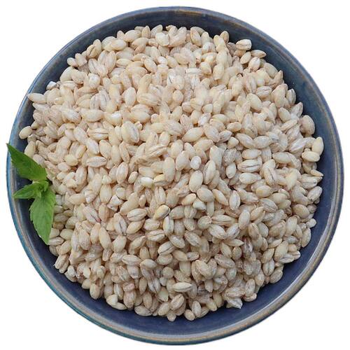麦仁2026年新货去皮小麦仁农家食用杂粮煮粥脱皮现磨大麦仁米500g - 图3