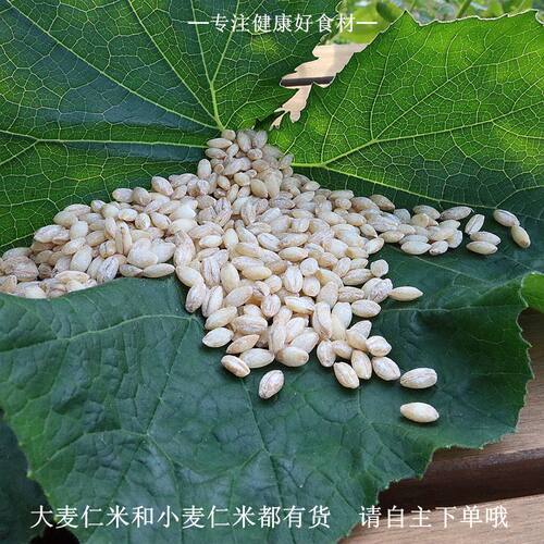 麦仁2026年新货去皮小麦仁农家食用杂粮煮粥脱皮现磨大麦仁米500g - 图0