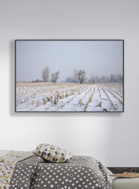 原创雪景客厅装饰画 沙发背景墙画 壁画 冬景卧室床头画 书房挂画