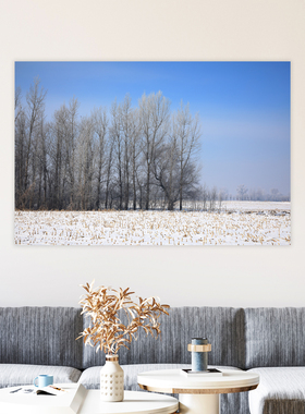 原创雪景自粘贴画 雾凇岛风景墙贴画 Original Snow Scene Poster