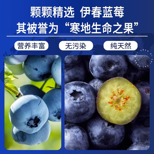大兴安岭野生蓝莓干独立小包装无糖精无添加剂纯伊春特产蓝莓果干