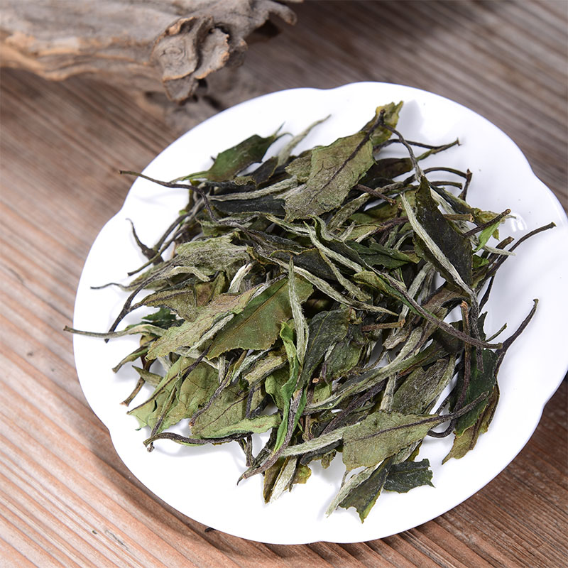 新茶2023年头春政大二级白牡丹Z4 华茶5号茶树品种政和白茶口粮茶