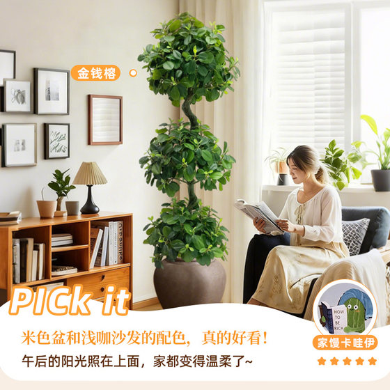 Simulated spherical green plant Banyan tree high-end light luxury