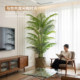 Simulated green plants, sunflowers, artificial trees, high-end light luxury