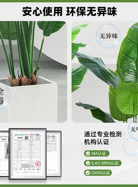 天堂鸟仿真绿植高端轻奢生