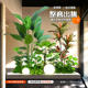 Simulated plant landscaping indoor balcony atmosphere landscape layout under the stairs decoration bionic green plant landscaping combination