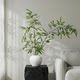 Bamboo simulated green plant ornaments, high-end realistic new Chinese Zen ornaments, entrance tea room display space decoration