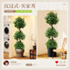 Simulated spherical green plant Banyan tree high-end light luxury