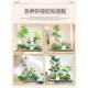 Simulated green plants and landscaping combination decorative artifacts