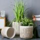 Light luxury and high-end square magnesium clay flowerpot