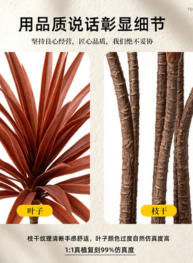 仿真绿植龙舌兰大型落地客厅高级感假植物盆栽轻奢假绿植室内摆件
