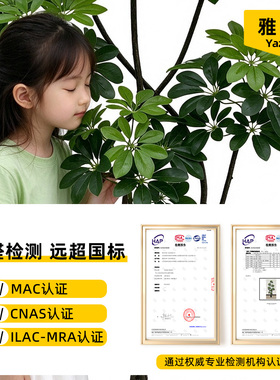 鸭脚木仿真绿植服装店软装搭配大型假树室内摆件宅寂风格落地盆栽