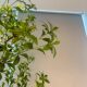 High-end simulated horse drunken wood window landscaping plants, indoor bionic green plants, decorative trees, large artificial trees, simple landscape