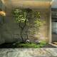 High-end simulated horse drunken wood window landscaping plants, indoor bionic green plants, decorative trees, large artificial trees, simple landscape