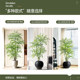 Simulated plant nandina floor-standing potted plant