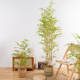 New Chinese style simulated bamboo indoor living room entrance partition courtyard landscape landscaping floor fake green plant decoration