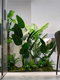 Simulated plant landscaping interior decoration ornaments
