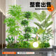 Simulated plant landscaping indoor balcony atmosphere landscape layout under the stairs decoration bionic green plant landscaping combination