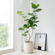 Light luxury and high-end artistic style magnesium clay flowerpot