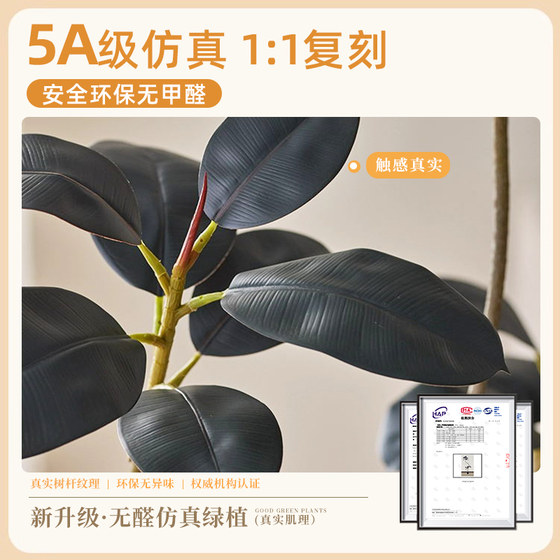 Simulated Black Diamond Rubber Tree Living Room Large Potted Plant Advanced