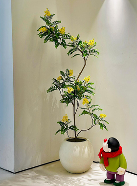 【小红书同款黄金树海虹景品】