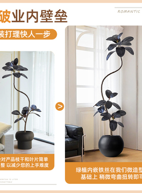 仿真绿植橡皮树黑金刚