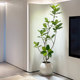 Elegant simulated green plants and large potted plants
