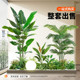 Simulated green plants, large indoor landscaping combination, under-stairs landscape, fake plants, landscape fake trees, potted plant decorations