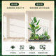 Simulated green plant landscaping combination window decoration fake plant landscape garden layout porch interior atmosphere tree
