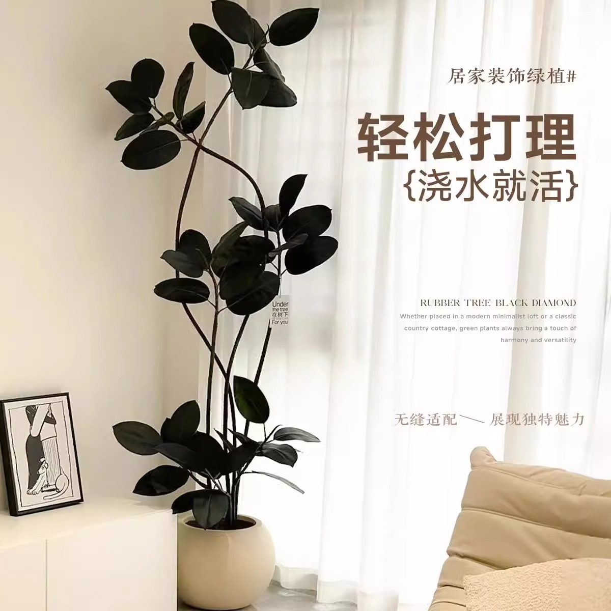 黑金刚橡皮树室内大型绿植客厅造型办公室阳台植物鸭脚木四季好养