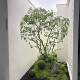 High-end simulated horse drunken wood window landscaping plants, indoor bionic green plants, decorative trees, large artificial trees, simple landscape