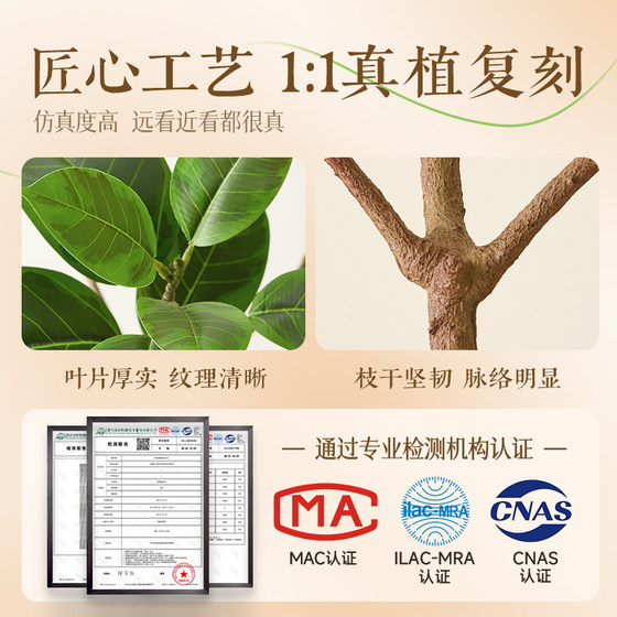 Simulated green plants and golden banyan trees for high-end light luxury customers