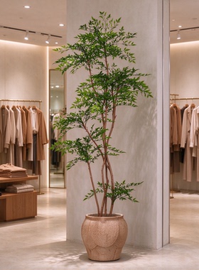 仿真绿植南天竹室内橱窗装饰落地盆栽商业空间软装假绿植高级摆件