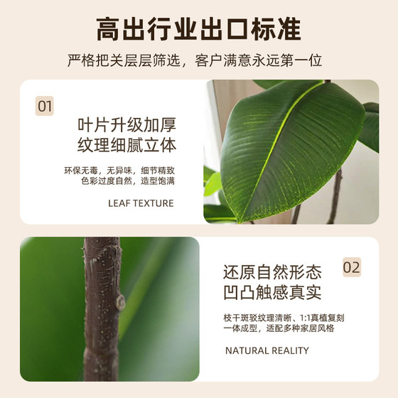 Simulated fake green plants decorating the black diamond rubber tree room
