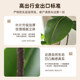 Simulated fake green plants decorating the black diamond rubber tree room