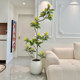Golden tree simulated green plant high-end light luxury bionic flower living room large indoor potted ornaments decorative tree fake plant