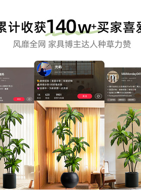 仿真绿植高端轻奢巴西木