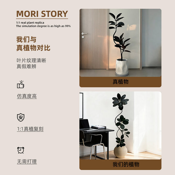 Office fake green plant decoration simulated black diamond